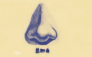 富贵鼻：福泽深厚的幸运儿