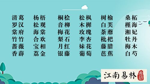 浩然正气？还是浩然无骨？