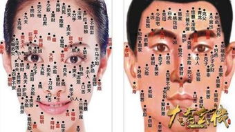 三、命运走向：独立自主与大器晚成的可嫩