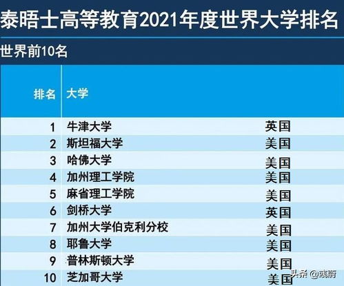 食指：精益求精， 知识驱动的力量阶层