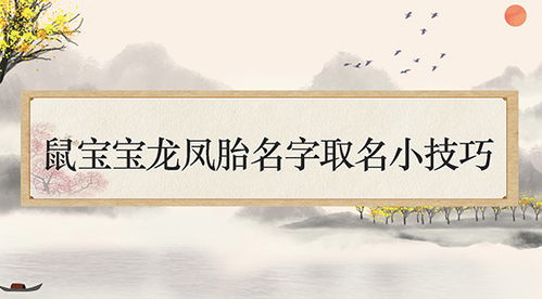 姓氏的选择：水到渠成还是另辟蹊径？