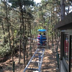 威海林海公园旅游攻略：一场说走就走的“坑爹”之旅