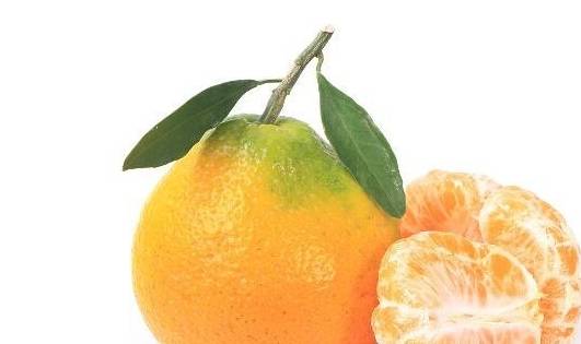 孕妇梦见摘橘子：一场荒诞的性别猜谜游戏