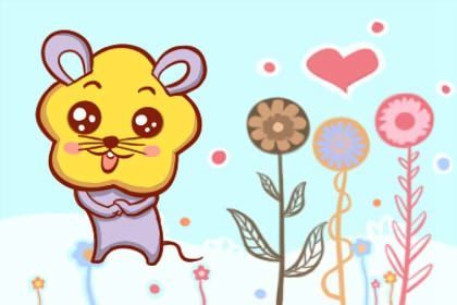 一、 属鼠与属牛——六合之缘，情感互补的典范
