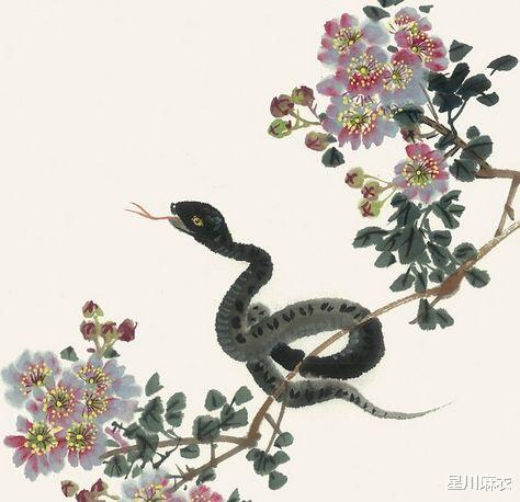 属蛇今年每个月的财运如何，特别是属蛇人今天财运怎么样？