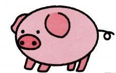 12月25日属猪的人穿什么颜色衣服最吉祥？五行色是什么？