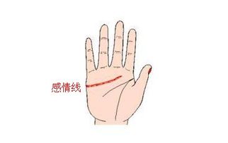 婚姻关系线分叉现象之解析