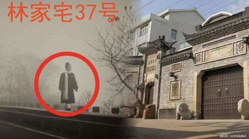 1. 深入观察家宅氛围