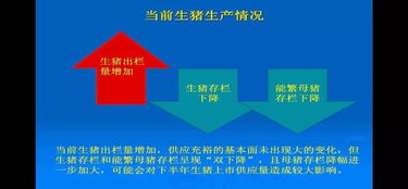 三、  课程内容的深度解析与现代转化机制