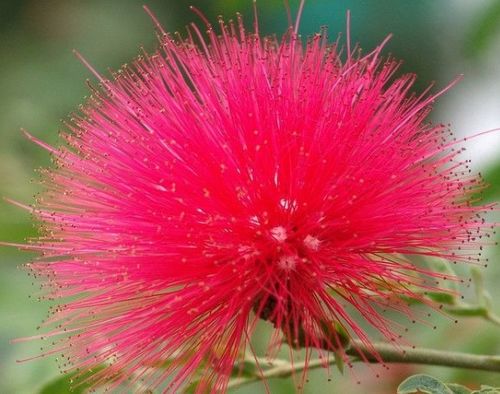 一、  紫微斗数中财运的基础：宫位与星曜的相互作用