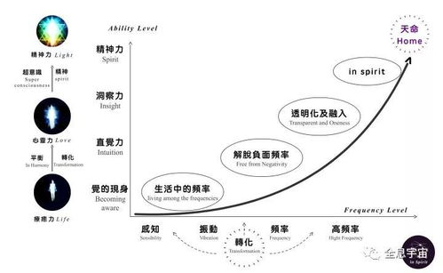 2.1 节奏感与生命频率的同频共振