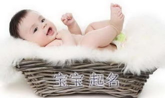 2026年狗年出生的男孩取什么名字比较好？有没有什么寓意吉祥的名字推荐？