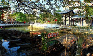 花漫水乡: 一个隐藏的宝藏景区