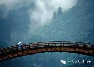 先兆与预感：潜意识中的异样感知