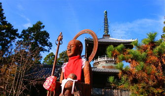 鳴門教育大学: 莫名其妙的选择