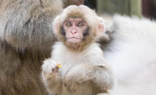 属猴的人住9楼合适吗？有没有什么楼层推荐？