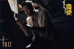 二、 「杀破狼」格局概述及其对武曲星性质的调摄作用