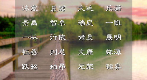 二十六、 赛字起名的误区