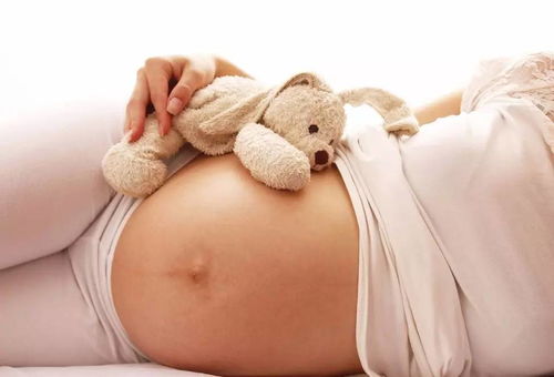 ：研究背景与传统文化视角的交叉融合