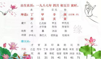 宝宝八字五行相生有情