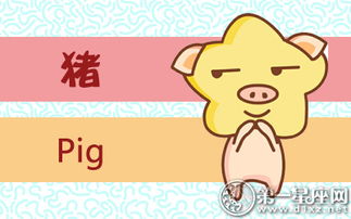 2026年属猪男性爱情运势具体表现是怎样的？