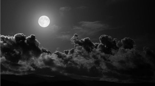 一、 故乡之殇：月夜的哀愁