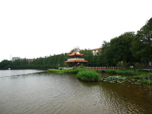 东山湖公园门票优惠套餐大揭秘！太划算了！