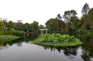 震惊！广州湿地公园暗藏玄机，2026年属马人必看！