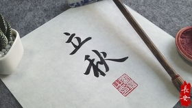 传统文化不是摆设， 是现代品牌最好的加分项