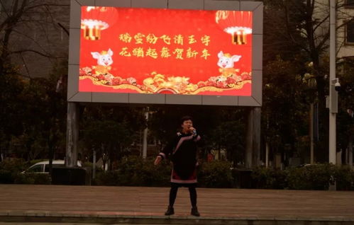 一、 活动总体背景与政策依据