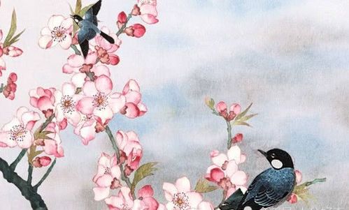 研究背景与目的