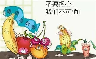 关于果子梦的十大谣言