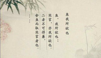 亦瑶的寓意究竟代表了怎样的深层含义？