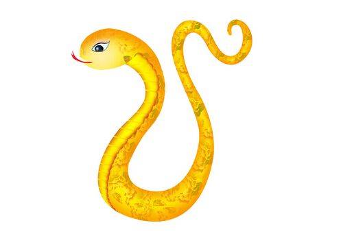 属蛇2026年运势中，推荐哪种色彩作为幸运色？