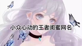 五、“九命猫°——七秒鱼°”: 生命周期的不同阶段及命运轨迹