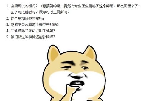 搞笑幽默网名的特征剖析