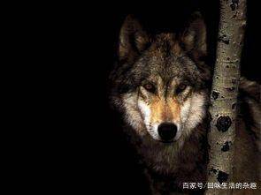 一、 探究背景与问题提出