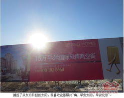 关于2025年10月15日的具体分析