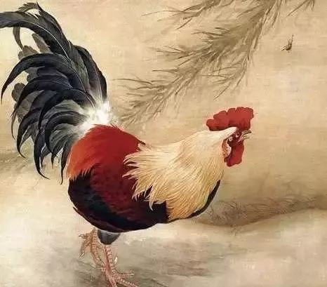 1993年属鸡男性在2026年运势如何？