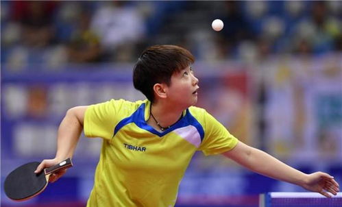 三、 心理素质之稳健与韧性评估