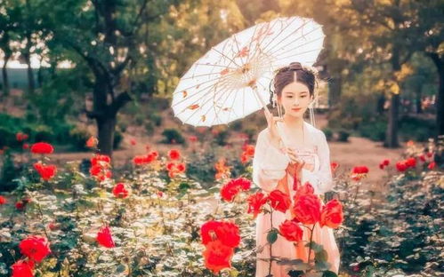 夫星合婚姻宫，夫星入墓是什么意思？