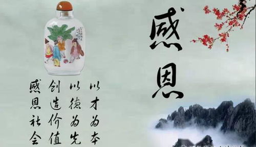 一、 癸卯流年对乙亥日柱运程之具体影响