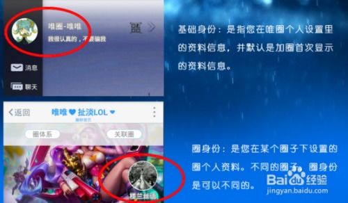 论网络虚拟身份构建中的命名策略：基于生肖、 星座与风水视角的深度分析