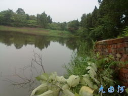 九曲水风水图片中，如何识别真正的九曲水景观？