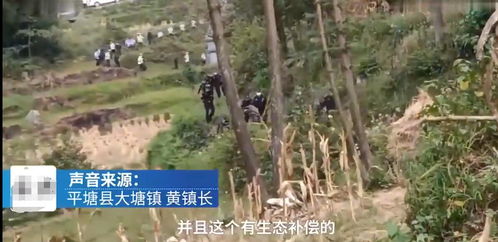 风水师下葬时，贵州手拿雄鸡，究竟有何神秘口诀？