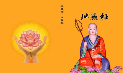 权威指引与因果警示