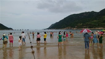 沙滩：25万平方米的“天然浴场”，其实是个人工“流量收割机”？