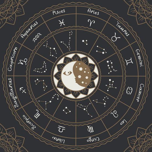 星座遇见真实炎热爱的概率排名概览