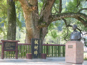 亭字的含义与寓意