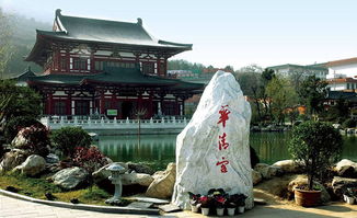 终于到了华清池门口